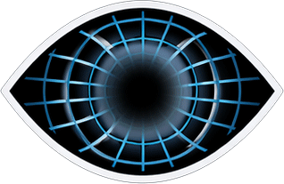 Age-Related Macular Degeneration (Amd)